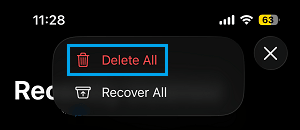 Delete All Photos From Recently Deleted Folder on iPhone
