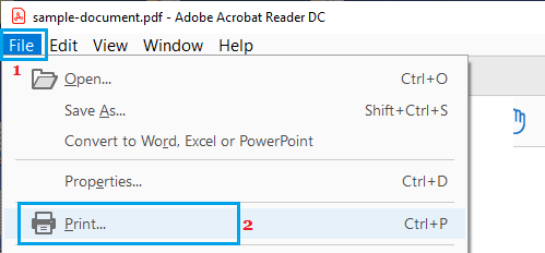 File Print Option in Adobe Acrobat