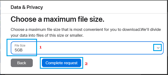 Select File Size on Apple Data & Privacy Site