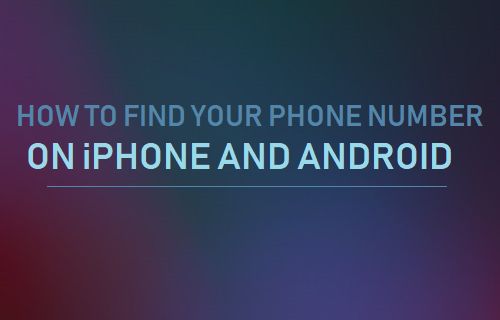 How to Find Your Phone Number On iPhone   Android - 31