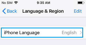 iPhone Language Option