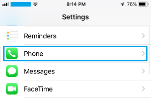 Phone Option on iPhone Settings Screen