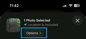 Photo Sharing Options Tab on iPhone