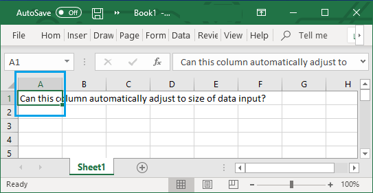 Data Overflowing Column Width in Excel