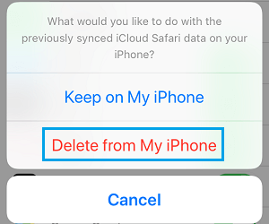Delete Safari Data From iPhone Pop-up