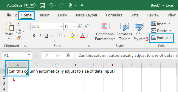 Format Cells Option in Excel