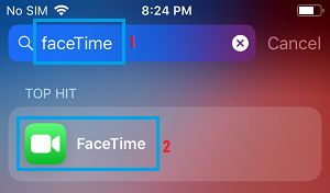 Search FaceTime App on iPhone