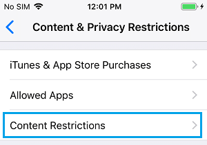 Content Restrictions Setting Option on iPhone