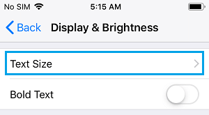 Text Size Settings Option on iPhone