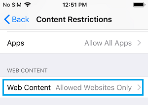 Web Content Restrictions Setting Option on iPhone
