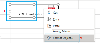 Format Object Options in Excel