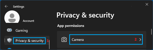 Camera Settings Tab on Windows Computer