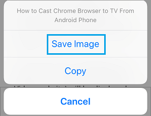 Save Image option on iPhone