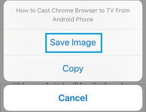Unable to Save Pictures in Safari on iPhone - 3