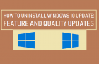 Uninstall Windows 10 Feature and Quality Updates