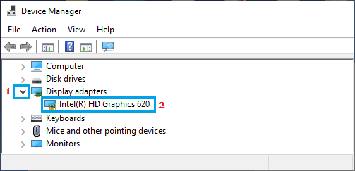 Graphics Card on Device Manager Screen