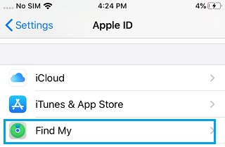 Find My Tab on Apple ID Screen