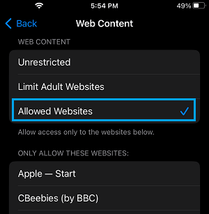 Allowed Websites Settings Option on iPhone