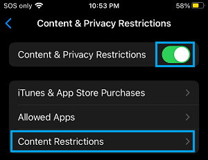 Content & Privacy Restrictions Settings Option on iPhone