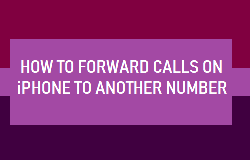 Forward Calls On iPhone to Another Number