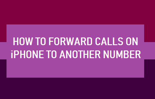 How to Forward Calls to Another Number on iPhone - 66