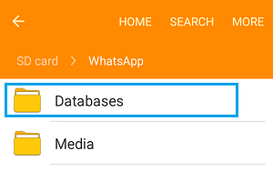 WhatsApp Databases Folder on Android Phone