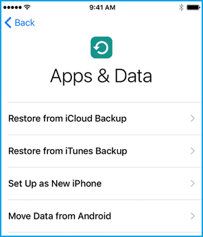 iPhone Restore Options on Apps & Data Screen