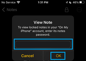 Enter Note Password on iPhone