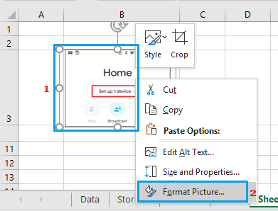 Format Inserted Picture in Excel 