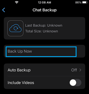 Manually Back Up WhatsApp Option on iPhone