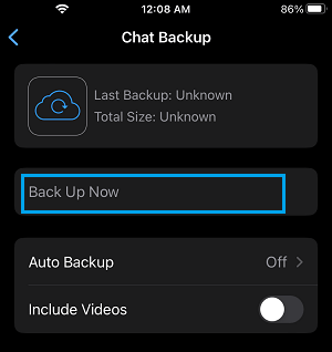 Manually Backup WhatsApp to iCloud Option on iPhone