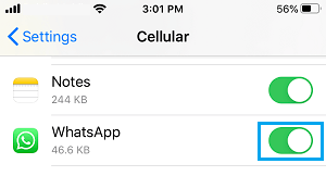 WhatsApp Media Not Downloading on iPhone - 46