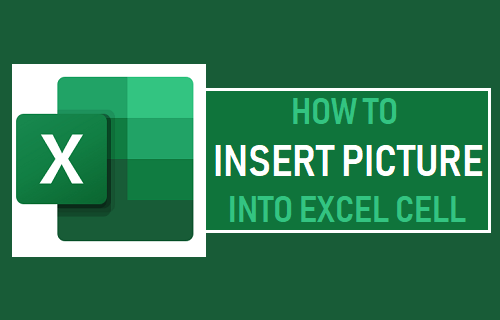 Insert Picture Into Excel Cell
