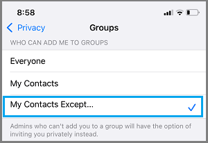 Seleccione la opción Mis contactos excepto en la configuración del grupo de WhatsApp