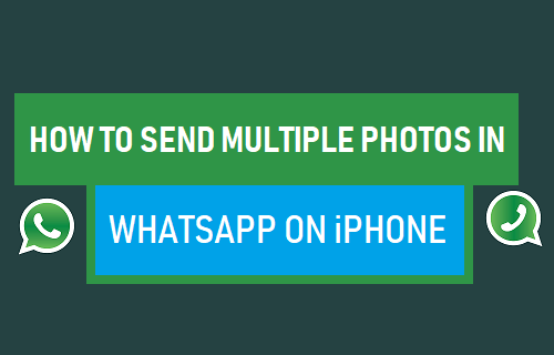 Send Multiple Photos in WhatsApp on iPhone