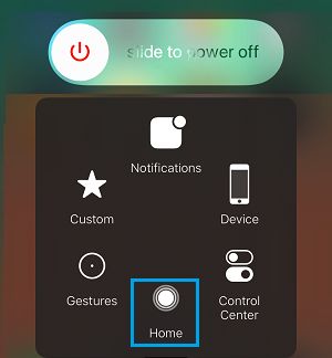 Virtual Home Button in AssistiveTouch Menu on iPhone