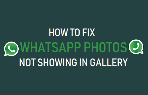 How to Fix WhatsApp Photos Not Showing in Gallery - 19