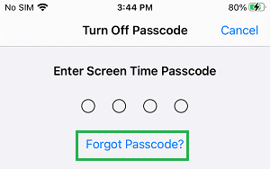Forgot Passcode Option on iPhone
