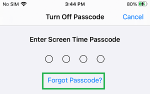 How to Reset Screen Time Passcode on iPhone and iPad - 3