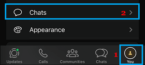 Open WhatsApp Chat Settings Option on iPhone