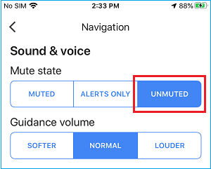 Unmute Google Maps on iPhone