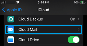 iCloud Mail Settings Option on iPhone