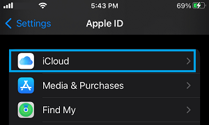iCloud Settings Tab on iPhone