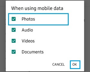 Allow WhatsApp to Use Mobile Data to Download Photos