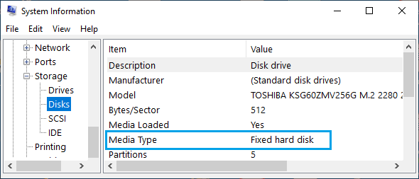 Hard Disk Info on Windows System Information Screen