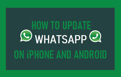 How to Update WhatsApp on iPhone And Android - 78