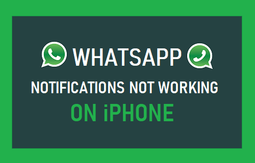 WhatsApp Notifications Not Working on iPhone