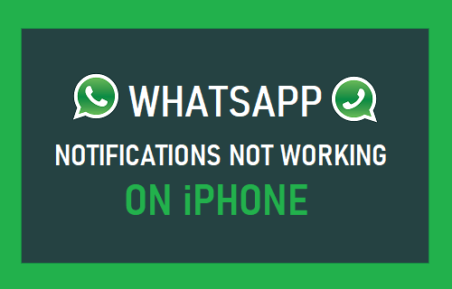 whatsapp not working iphone whatsapp not working iphone