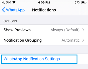 WhatsApp Notifications Settings Tab on iPhone