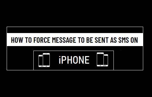 Force Message to be sent as SMS on iPhone